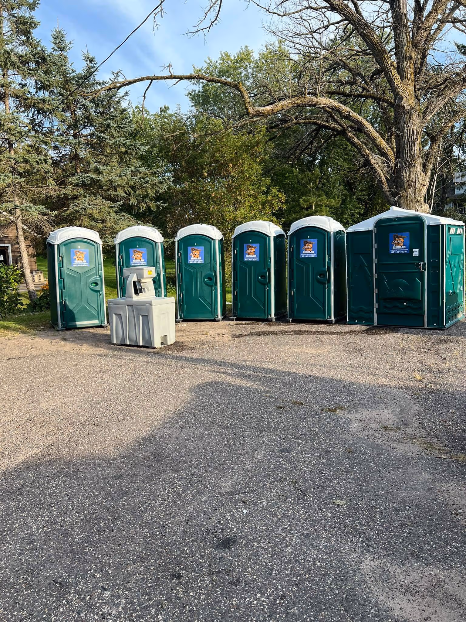 A row of seven green portable toilets with white roofs standing on wet pavement in a park-like area with trees in the background.